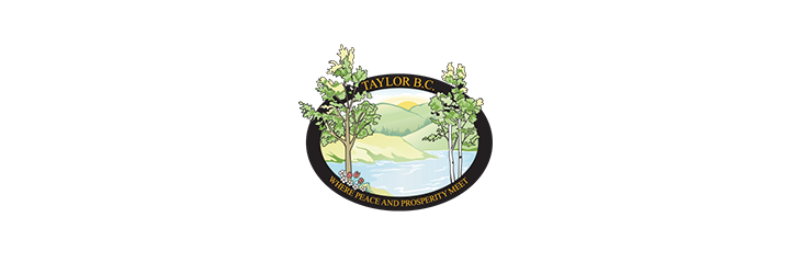 District of Taylor